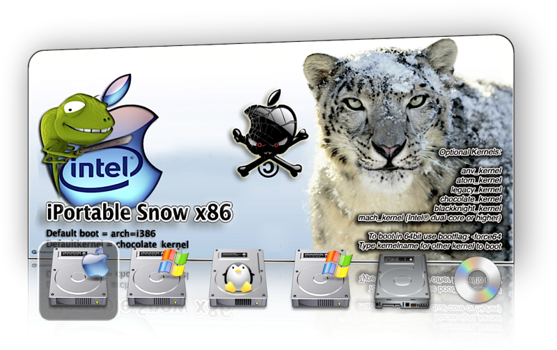 Chameleon Multiboot montage