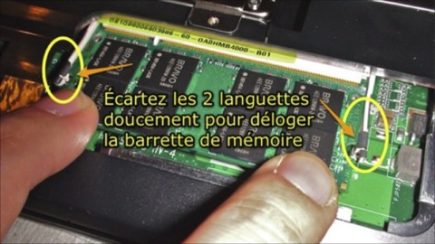 ecarter2languettes